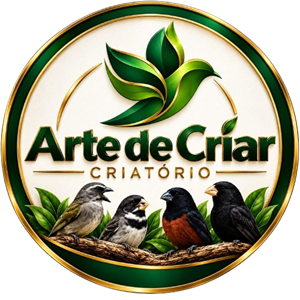 Arte de Criar